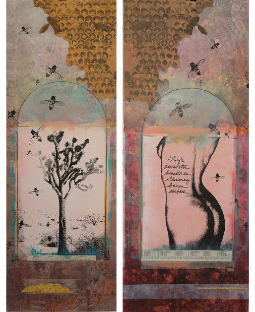 An Illusionary Barren Surface