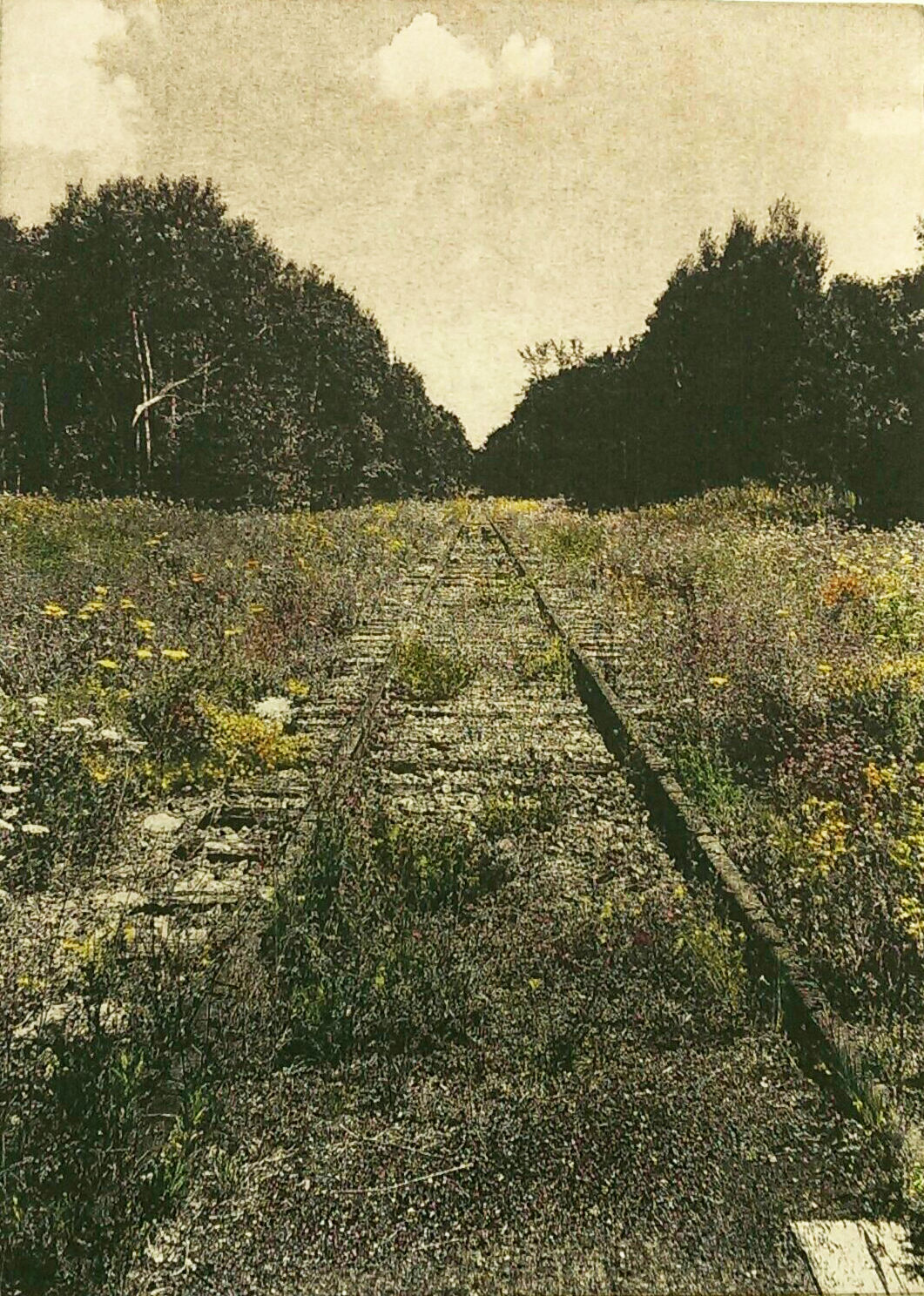 Life Percolates through the Ruins